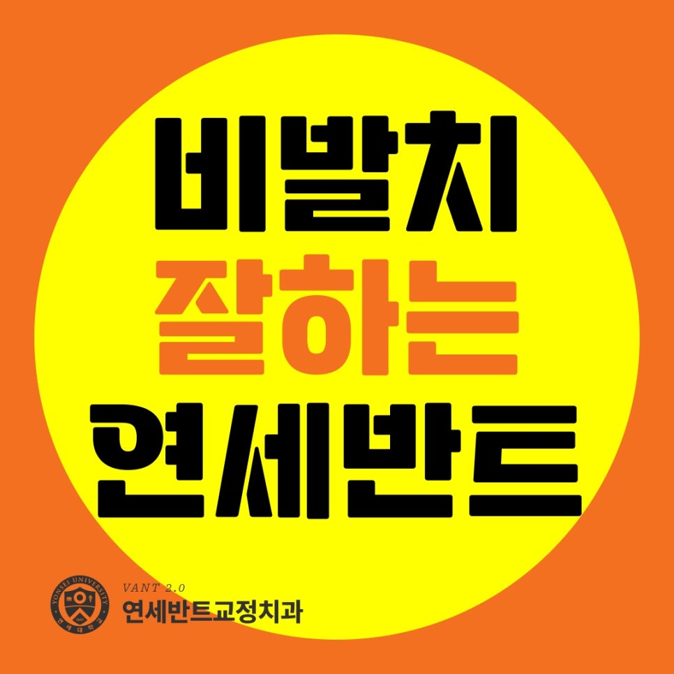 비발치 교정 안내
